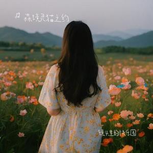 镜头里的快乐圈