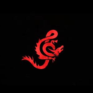 董小姐live