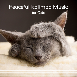 ASMR Kalimba