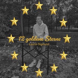 12 goldene Sterne