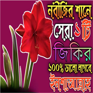 নবীজির শানে সেরা একটি জিকির ভালো লাগবে ইনশা আল্লাহ