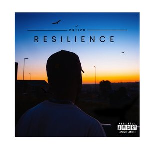 Resilience