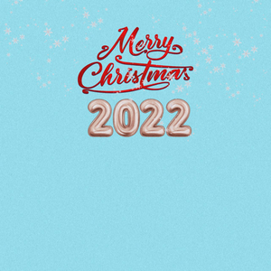 НОВОГОДНЯЯ