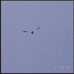 随笔(Prod KENNY & LV9)