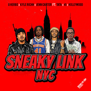 Sneaky Link NYC