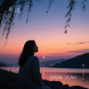 丢了岁月丢了自己（男声版）