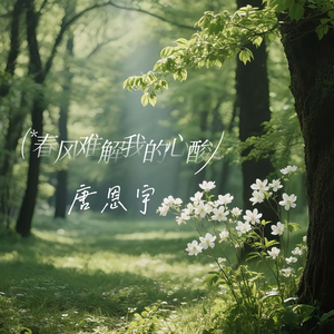 春风难解我的心酸