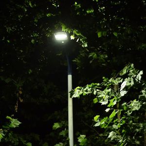 金钱 欲望 和？