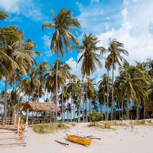 适合读有魅力的音乐