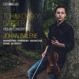 Violin Concerto in D Major, Op. 35, TH 59:I. Allegro moderato - Moderato assai