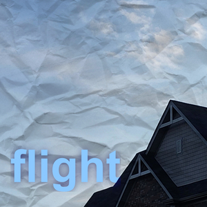 flight