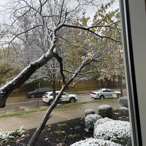 Christmas tree on Halloween