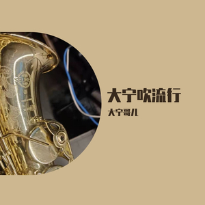 爵士萨克斯版-与我常在（千与千寻）