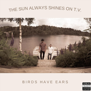 The Sun Always Shines on T.V.