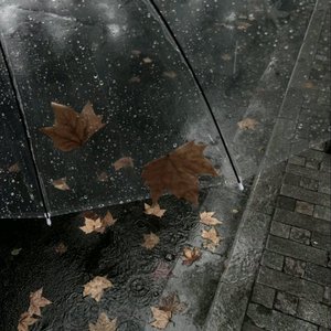 先看清我，再喜欢我