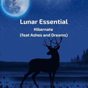 Hibernate (feat. Ashes and Dreams)
