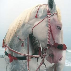 马到成功（Deep house）