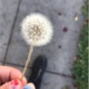 ur the only thing keeping me alive right now