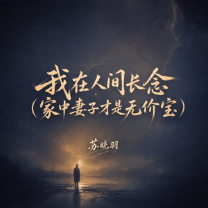 我在人间长念(家中妻子才是无价宝)