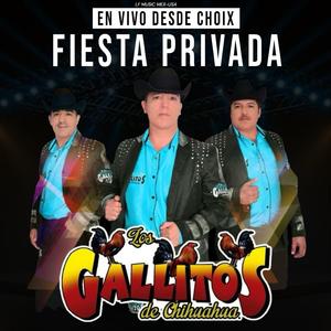 Cuando te acuerdes de mi-Los Gallitos de Chihuahua en vivo desde Choix-Fiesta Privada (En vivo)