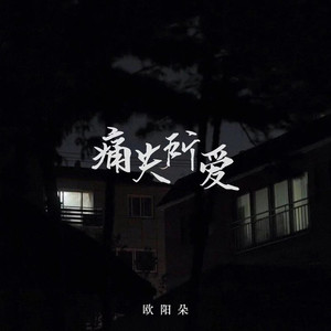 痛失所爱 (DJ版)