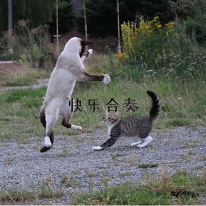 快乐律动 (钢琴)