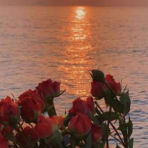 甜（prod by K-MAX）