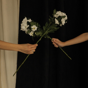 Запах цветов