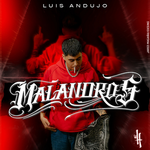 Malandros