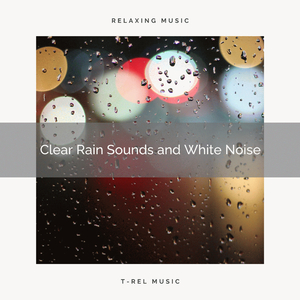 Rain White Noise and Soft Wind Sounds