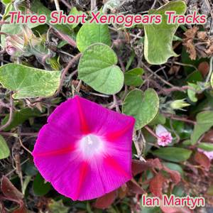 The Gentle Breeze Sings (Singing of the Gentle Wind) - The Holy Town of Nisan (from "Xenogears") (Abridged Solo Electric Guitar Version)