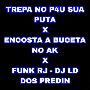 Trepa no P4U Sua Puta X Encosta a Buceta no AK X Funk RJ