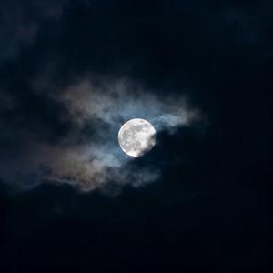 明月高悬 独不照我