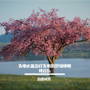 失眠必备适合睡觉场景放松睡眠轻音乐