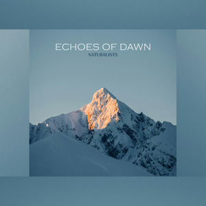 Echoes Of Dawn