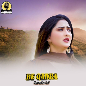 Be Qadra (1)