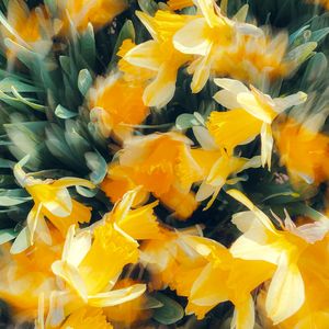 CPJ_groovy type beat_bpm88｜街头招式