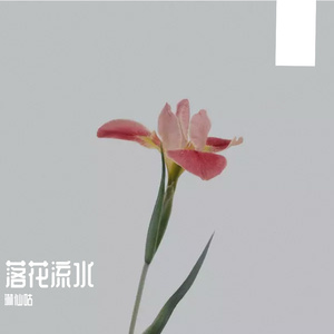 落花流水