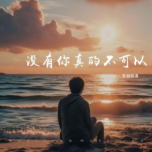 没有你真的不可以