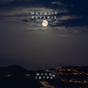 moonlit reverie