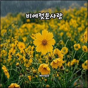 비에젖은사랑