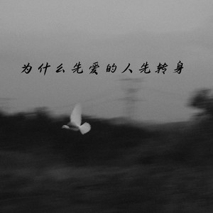 为什么先爱的人先转身