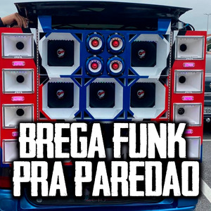 Brega Funk Pra Paredão