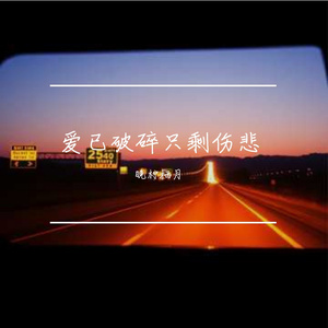 爱已破碎只剩伤悲