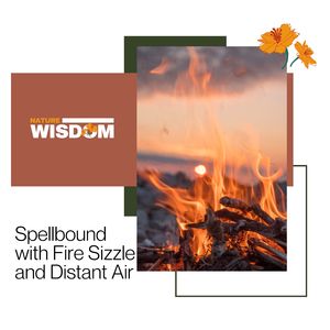 Glassy Mountain Wind Summer Day