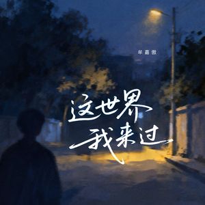 这世界我来过