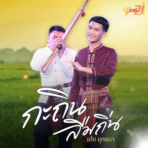 กะถินคืนถิ่น