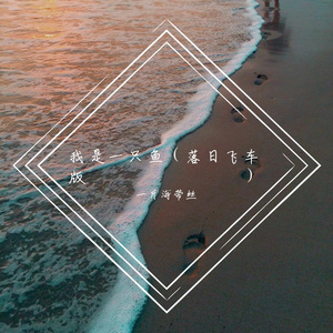 我是一只鱼(落日飞车版)