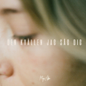 Den kvällen jag såg dig