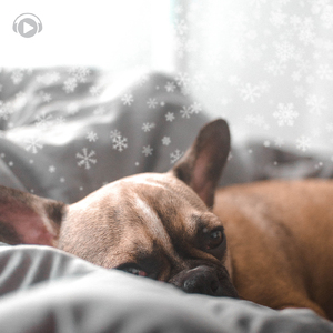 Ice Queen (feat. 三浦 美穂路)